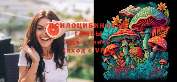 бошки Абинск