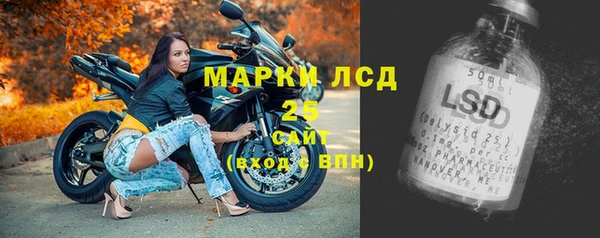 сатива Струнино