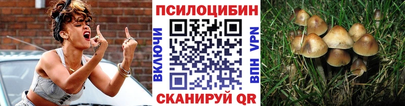 Псилоцибиновые грибы Psilocybe  как найти закладки  Суоярви 